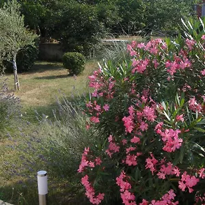  Appartamento Adriana